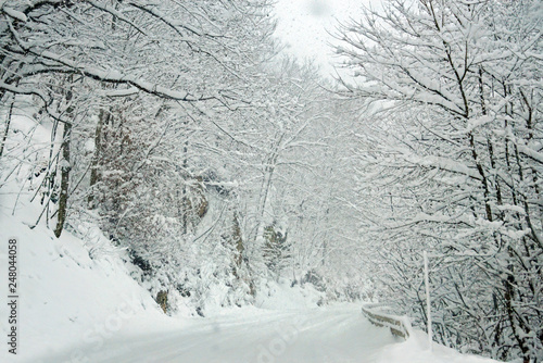 A deserted mountain road surrounded by a beautifully snow-covered forest.