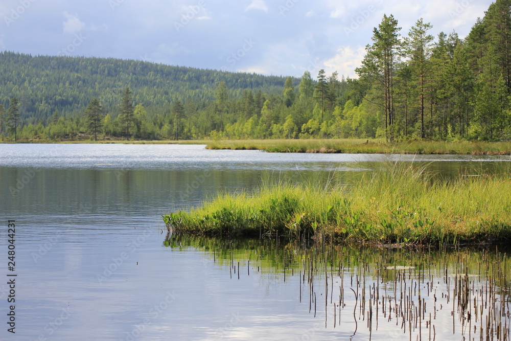Obraz premium A sunny summer lake