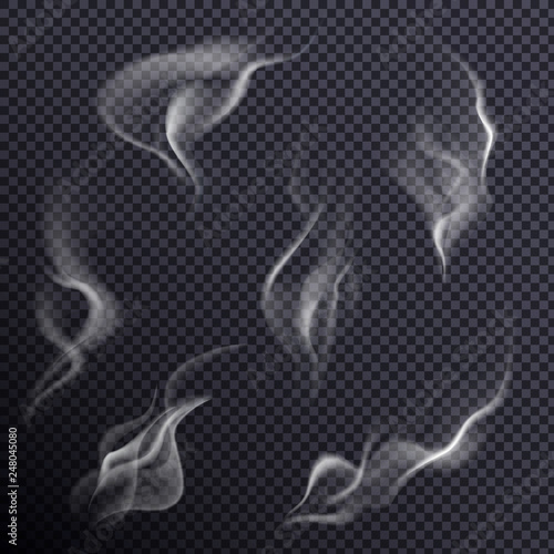 Smoke isolated on transparent background. Vector illustration.
