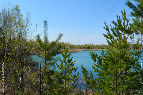 Beautiful view of lake through pine trees. Russian landscape. Picturesque scene.