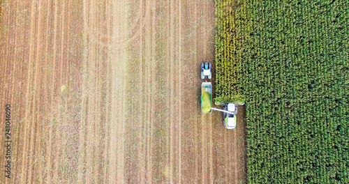 corn harvesting in Europe birds eye view of combine harvester from above top down