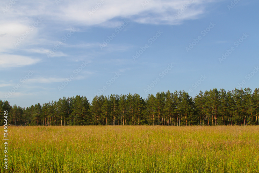 Green field Green field