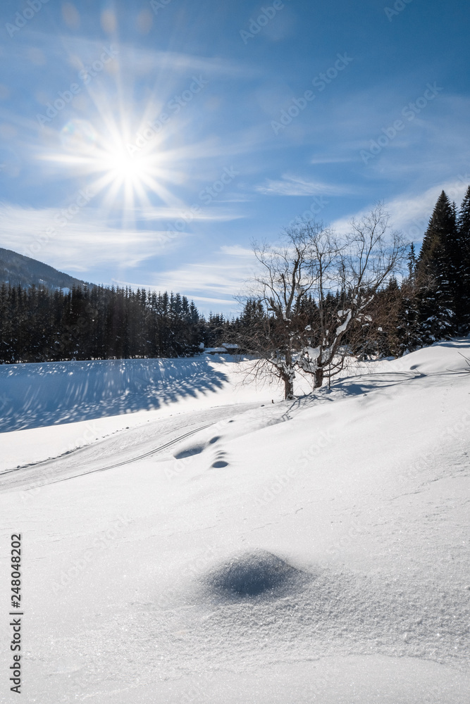 Cross-country skiing track trail in sunny snow-covered holiday resort Hohentauern