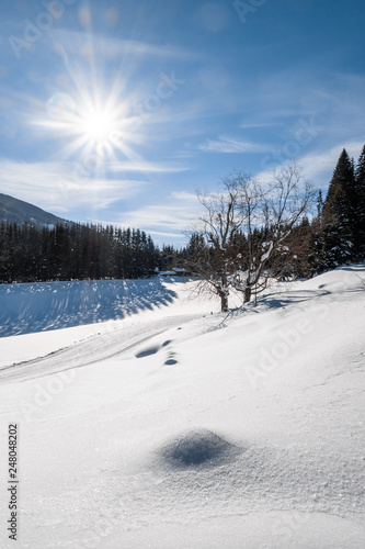 Cross-country skiing track trail in sunny snow-covered holiday resort Hohentauern © photoflorenzo