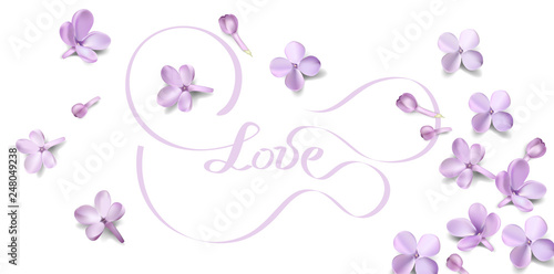 Love background with lilac flower petals and lettering.