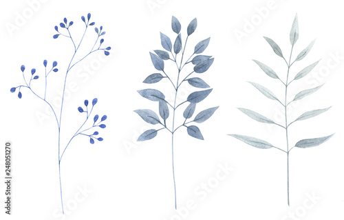 Watercolor leaf set 3