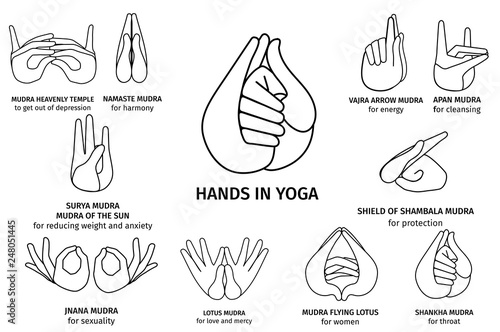 Vector Illustration of various gestures of hands contours in meditation, on a white background. Hand drawn drawn set of different wise for banner design. Hands in yoga, gestures for health and energy photo
