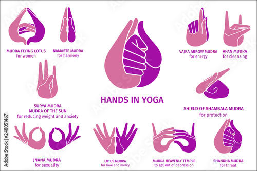 Vector Illustration of various gestures of colorful hands in meditation, on a white background. Hand drawn drawn set of different wise for banner design. Hands in yoga, gestures for health and energy
