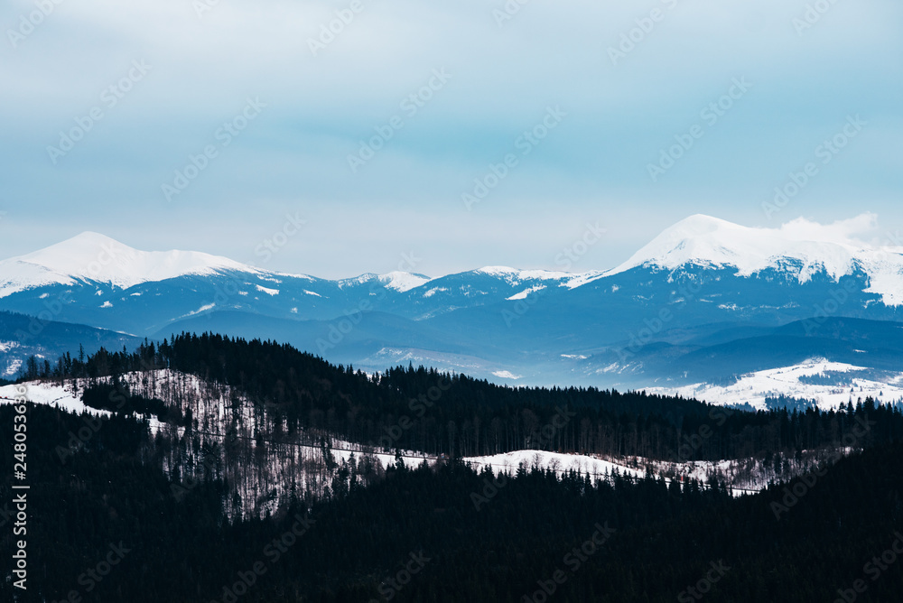 Beautiful Carpathian panoramic view snow capped mountains, European beautiful winter mountains