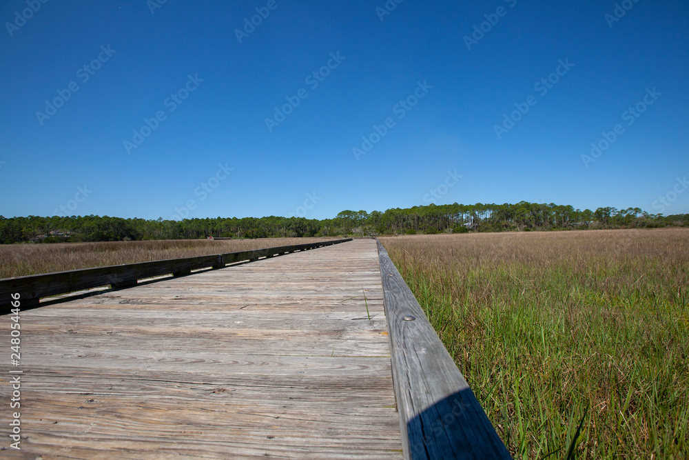 Marsh boardwalk