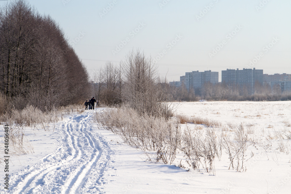 Obraz premium Ski trail