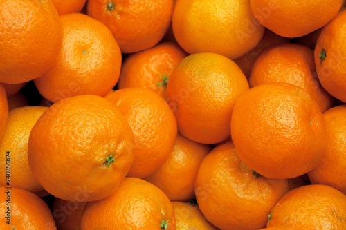 tangerine harvest. many tangerines.mandarine close up