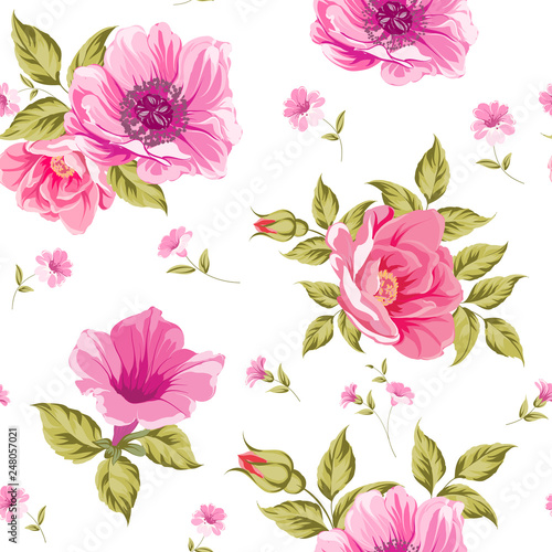 Seamless pattern of flower heads isolated on white background. Vector illustration.