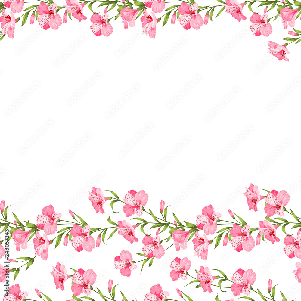 Beautiful alstroemeria on seamless pattern. Best Tropical flowers. Vector illustration. Beautiful alstroemeria on seamless pattern. Best Tropical flowers. Vector illustration.