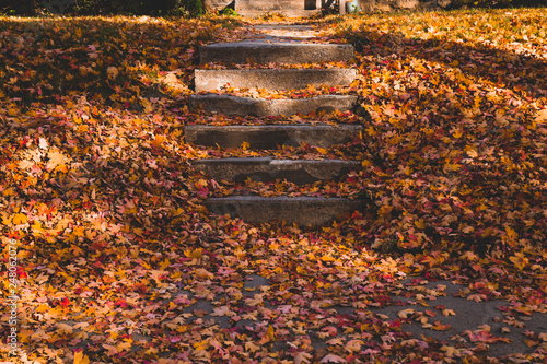 Front steps of a city home with red and orange autumn leaves 