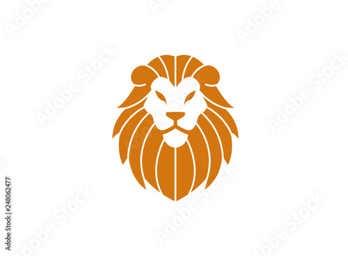 Orange lion head and face for logo design