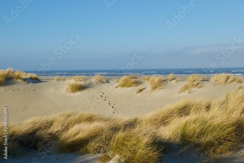 Düne mit Fußspuren im Sand und Strand auf einer Insel in der Nordsee