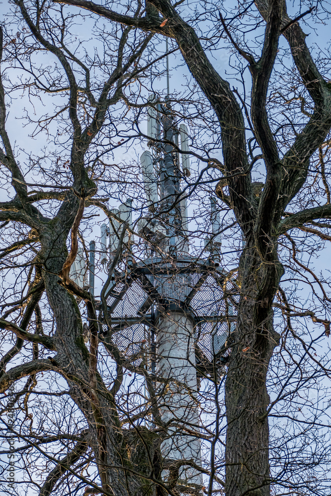 Sendemast und Baum