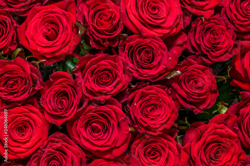 Natural red roses background #248064689