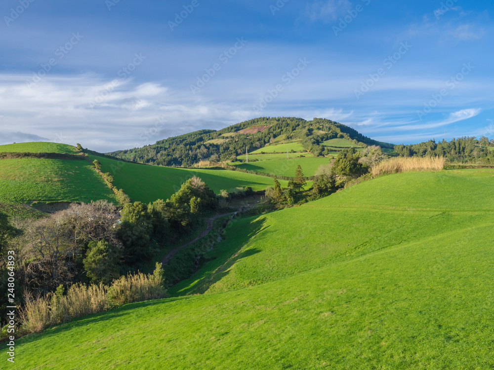 Lush green grass hills with fields and pastures, blue sky and white clouds, typical landscape of Sao Miguel island, Azores, Portugal