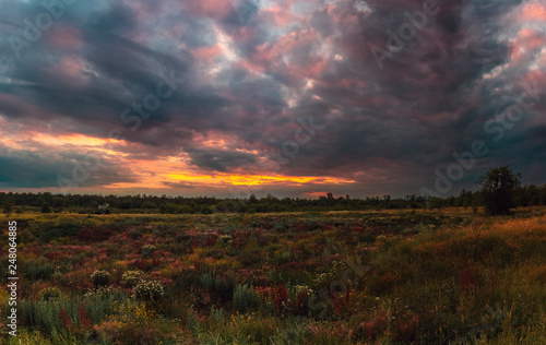 Summer cloudy sunset. Awesome cloudy sunset over the steppe flowers blossom.