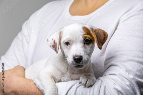 Horizontal portrait of handsome cheerful man holds jack russell terrirer, has glad expression photo