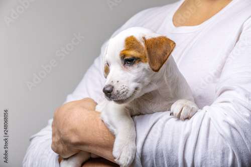 Horizontal portrait of handsome cheerful man holds jack russell terrirer, has glad expression