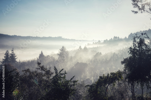 Picture of a misty sunrise in the Mufindi Highlands, Tanzania, Africa. © Muriel Lasure