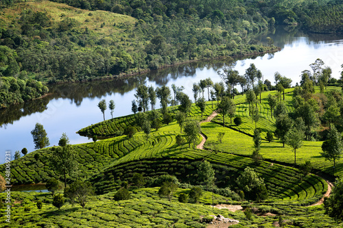 Hills , lake and tee plantations in Kerala