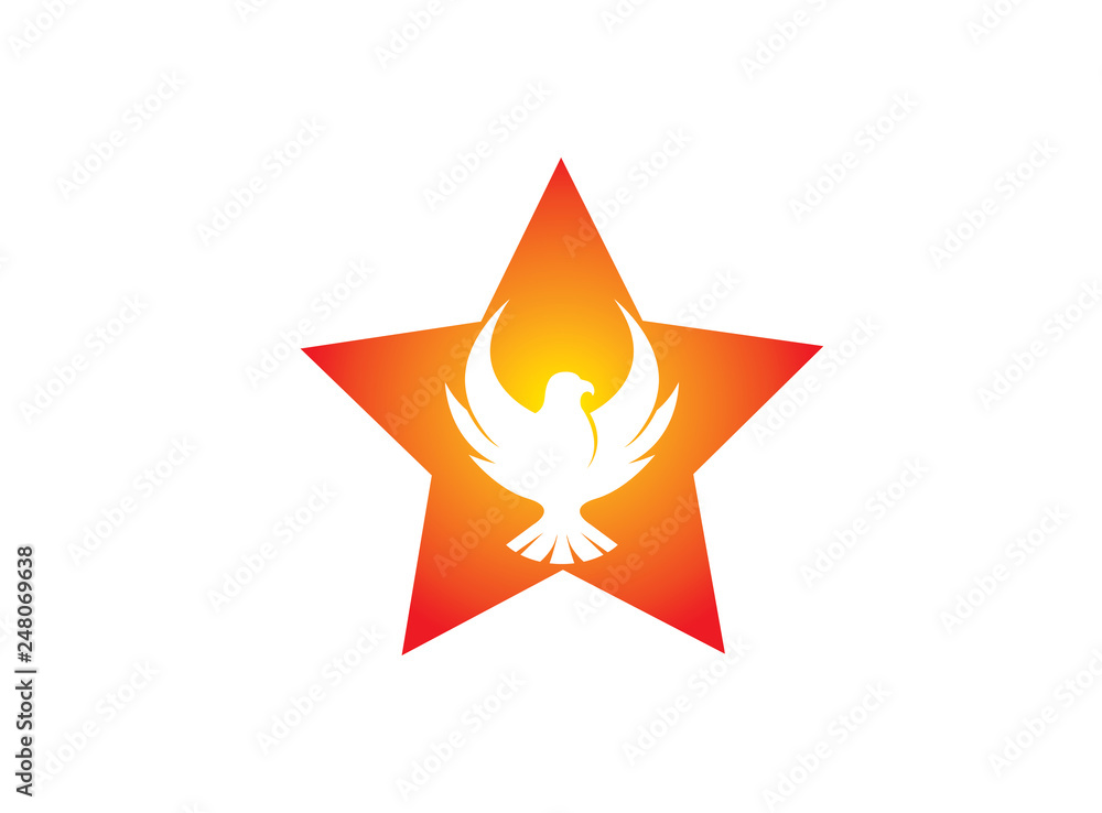 Phoenix flying bird inside the star and eagle open wings Logo Phoenix flying bird inside the star and eagle open wings Logo
