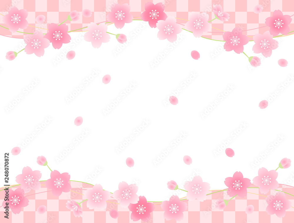 さくら53 さくら53