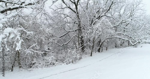 Wallpaper Mural Aerial Midwest Winter Snow covered trees along bike path Torontodigital.ca