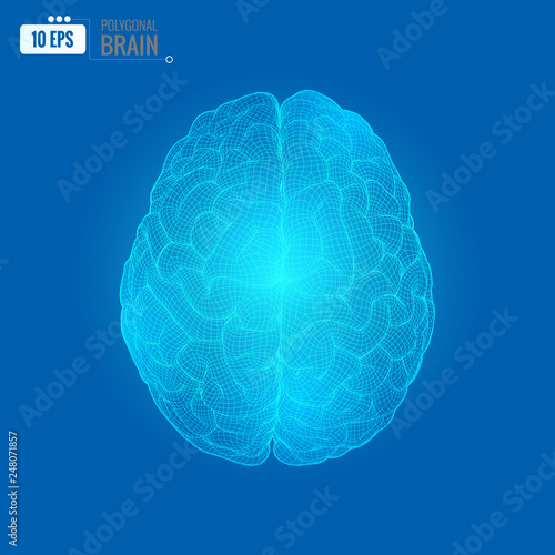 Wireframe brain digital display on blue BG