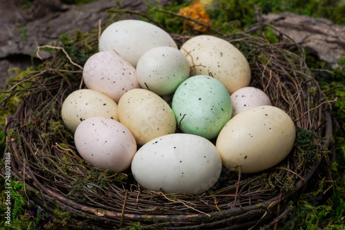 Easter eggs in the nest on a green moss. Happy Easter! Family Traditional Decoration. 