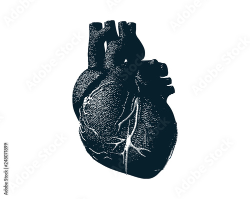 Monochrome human heart with dot drawing style