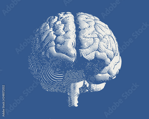 Frontal engraving brain illustration on blue BG