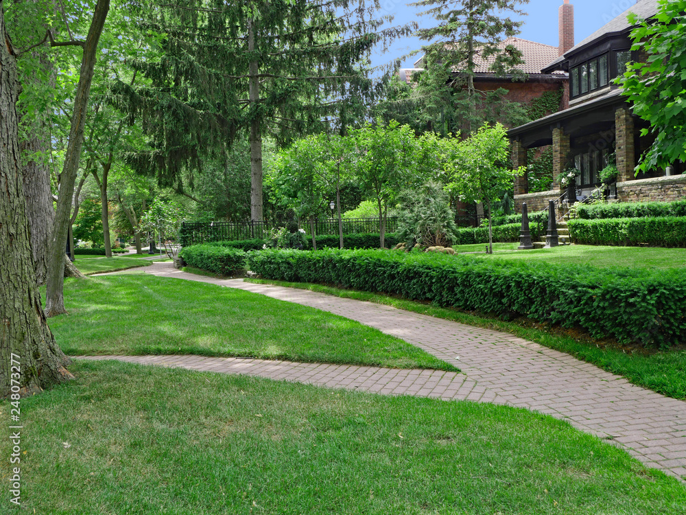 shady sidewalk on a tree-lined street in the Rosedale area of Toronto shady sidewalk on a tree-lined street in the Rosedale area of Toronto