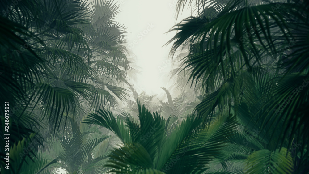 Fototapeta Ilustracja 3D Tło dla reklamy i tapety w scenie dżungli. Renderowanie 3D w koncepcji dekoracyjnej