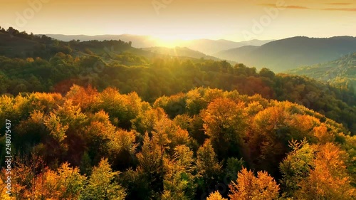 Beautiful Autmn forest shining at sunset. Flying above Colorful mountain flora