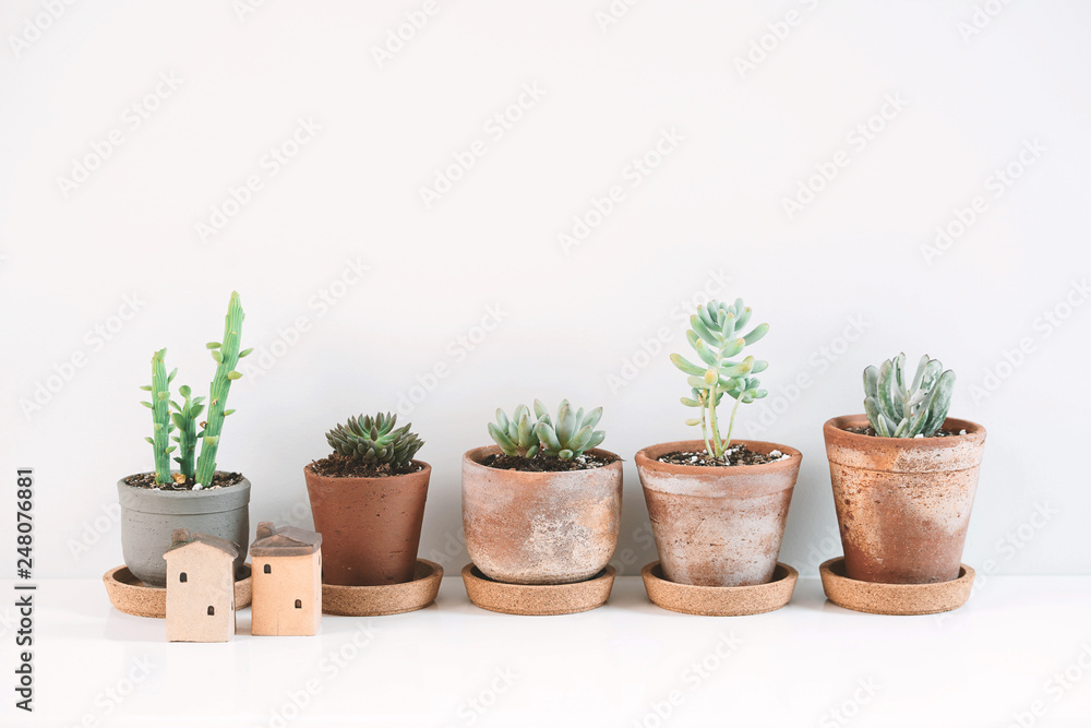Fototapeta premium Succulents and Cactus in different clay pots on the white shelf. Scandinavian hipster home decoration.