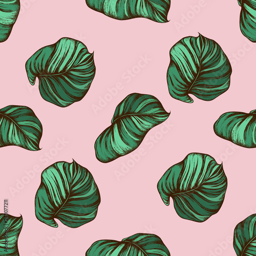 Seamless pattern with hand drawn colored philodendron, calathea