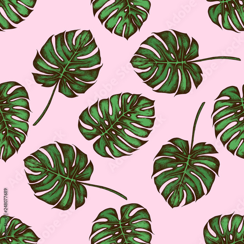 Seamless pattern with hand drawn colored monstera