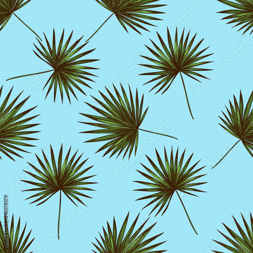 Seamless pattern with hand drawn colored trachycarpus © Sad