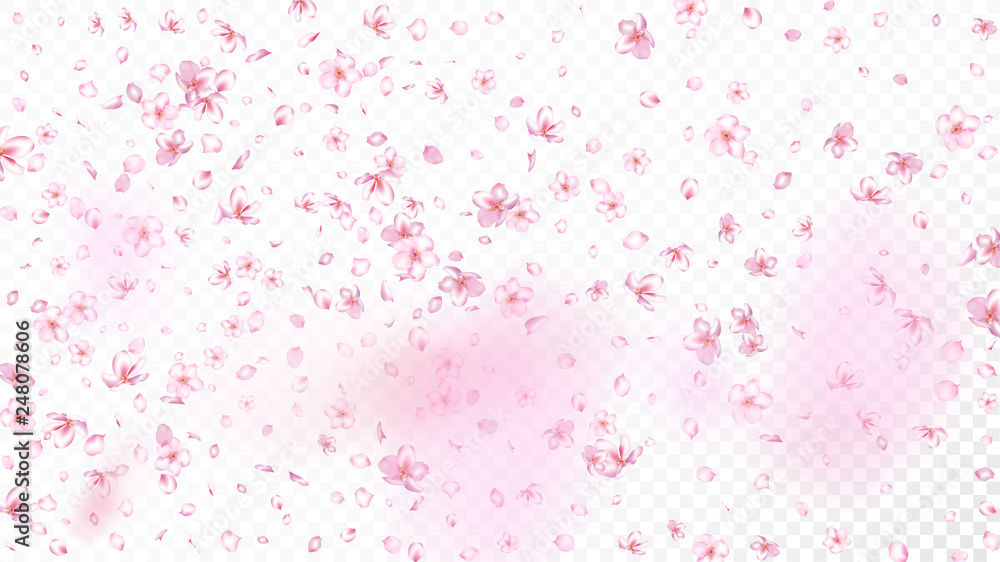 Nice Sakura Blossom Isolated Vector. Pastel Showering 3d Petals Wedding Paper. Japanese Bokeh Flowers Illustration. Valentine, Mother's Day Beautiful Nice Sakura Blossom Isolated on White