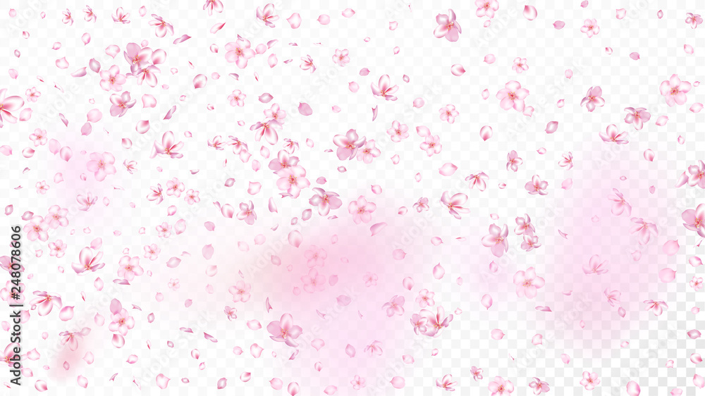 Nice Sakura Blossom Isolated Vector. Pastel Showering 3d Petals Wedding Paper. Japanese Bokeh Flowers Illustration. Valentine, Mother's Day Beautiful Nice Sakura Blossom Isolated on White Nice Sakura Blossom Isolated Vector. Pastel Showering 3d Petals Wedding Paper. Japanese Bokeh Flowers Illustration. Valentine, Mother's Day Beautiful Nice Sakura Blossom Isolated on White