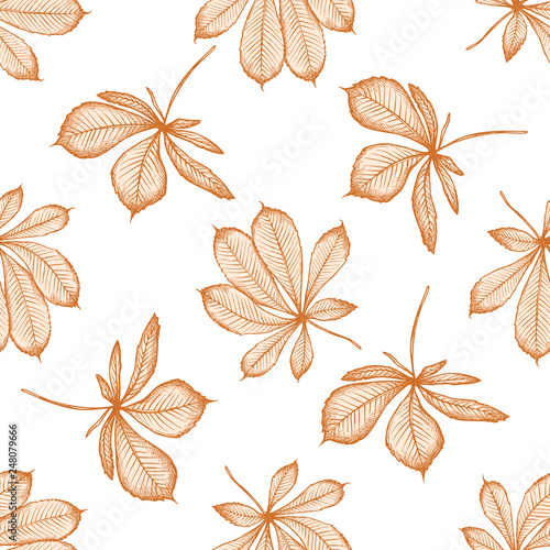 Seamless pattern with hand drawn pastel buckeye