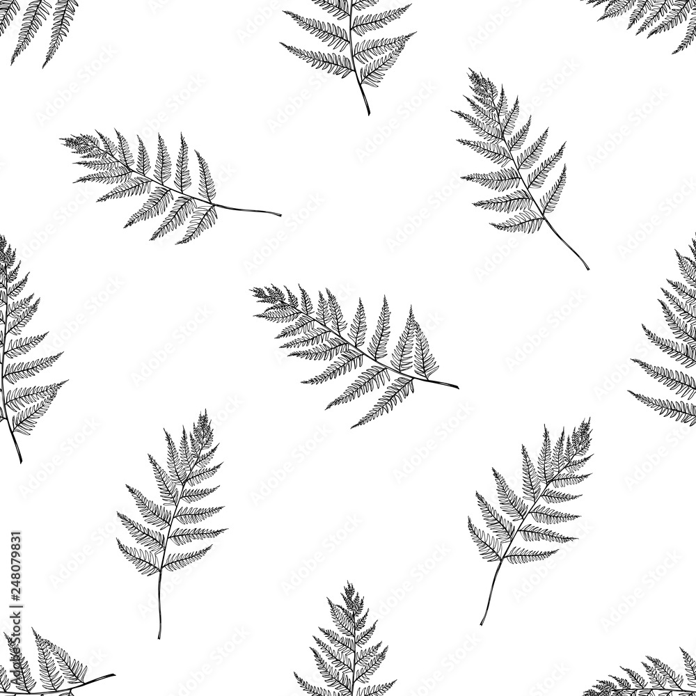 Seamless pattern with black and white fern Seamless pattern with black and white fern