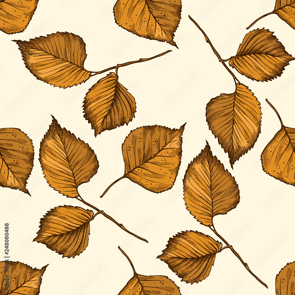 Fototapeta premium Seamless pattern with hand drawn colored birch