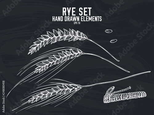 Vector collection of hand drawn chalk rye