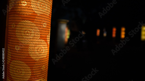 NIGHT CASTLE OWARI EDO FANTASIA 名古屋城 X NAKED